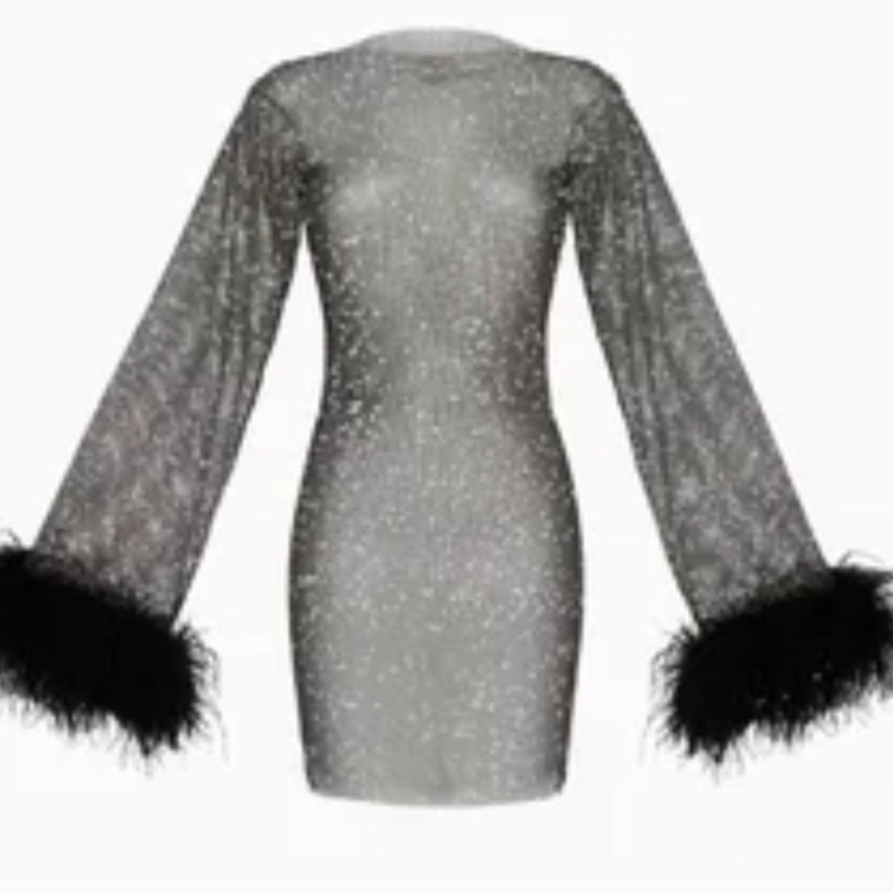Santas brands Feathers Mini Dress in Sheer Mesh Sz M/L - Picture 14 of 15
